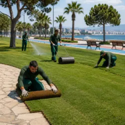 izmir hazır çim rulo çim