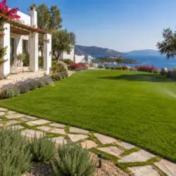 Bodrum Hazır Çim , Rulo Çim