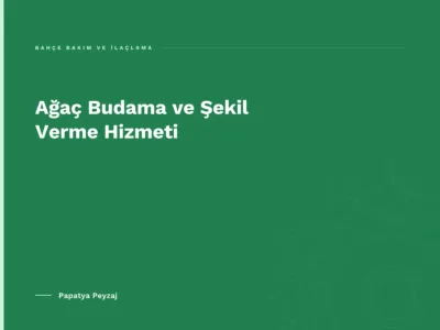 Ağaç Budama ve Şekil Verme Hizmeti