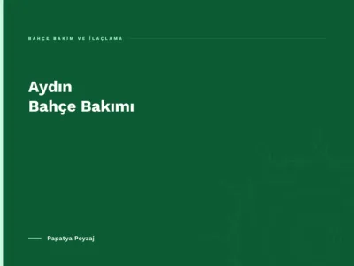 Aydın Bahçe Bakımı