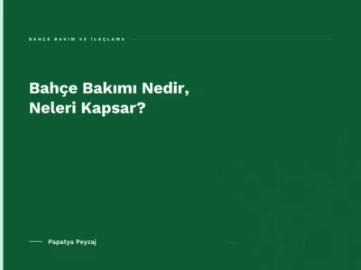 Bahçe Bakımı Nedir, Neleri Kapsar?