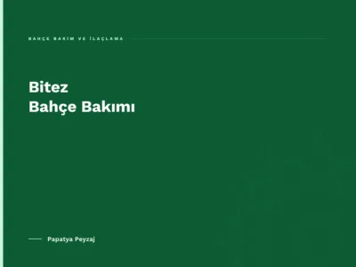 Bitez Bahçe Bakımı