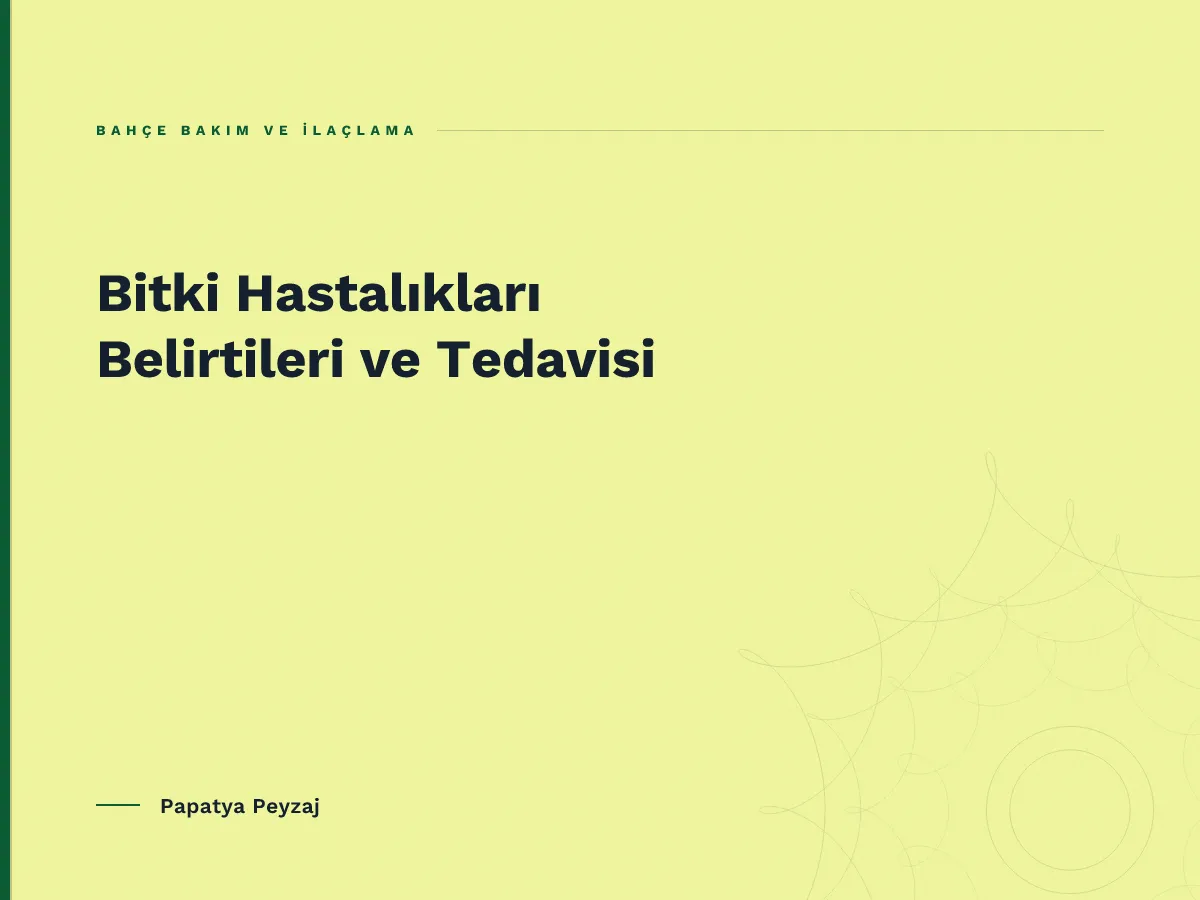 Bitki Hastalıkları Belirtileri ve Tedavisi