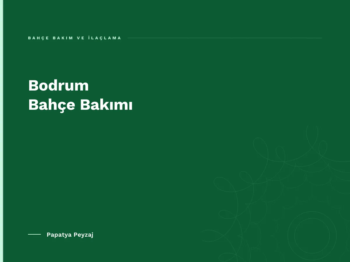 Bodrum Bahçe Bakımı
