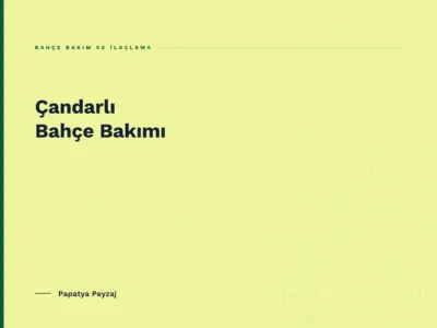 Çandarlı Bahçe Bakımı