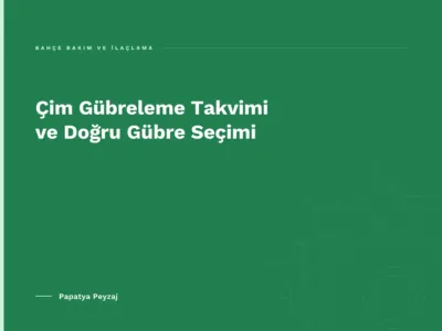 Çim Gübreleme Takvimi ve Doğru Gübre Seçimi