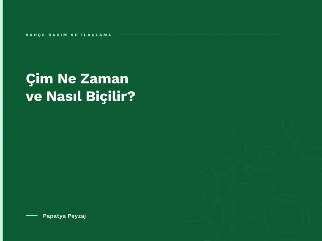 Çim Ne Zaman ve Nasıl Biçilir?