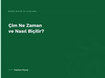 Çim Ne Zaman ve Nasıl Biçilir?