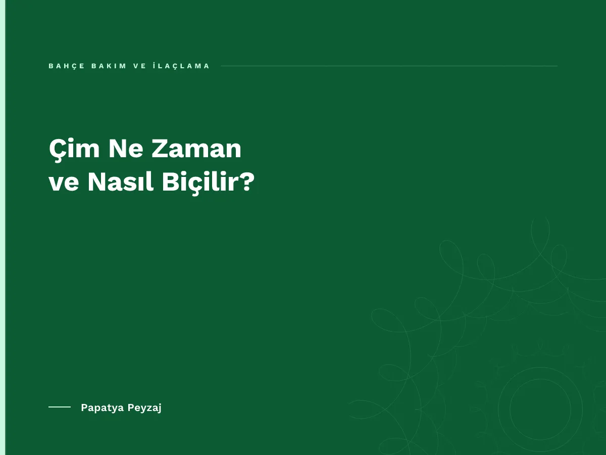 Çim Ne Zaman ve Nasıl Biçilir?