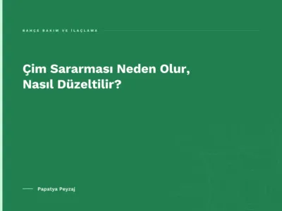Çim Sararması Neden Olur, Nasıl Düzeltilir?