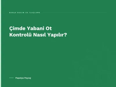 Çimde Yabani Ot Kontrolü Nasıl Yapılır?
