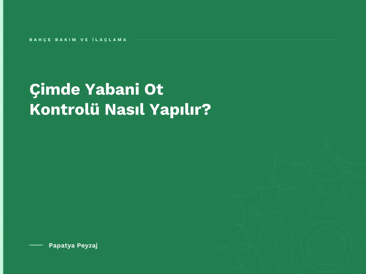 Çimde Yabani Ot Kontrolü Nasıl Yapılır?