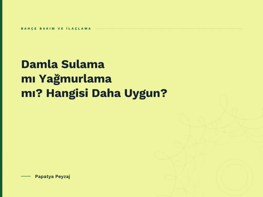 Damla Sulama mı Yağmurlama mı? Hangisi Daha Uygun?