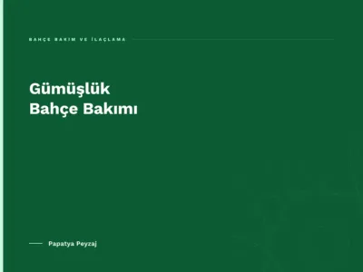 Gümüşlük Bahçe Bakımı