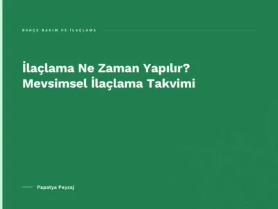 İlaçlama Ne Zaman Yapılır? Mevsimsel İlaçlama Takvimi