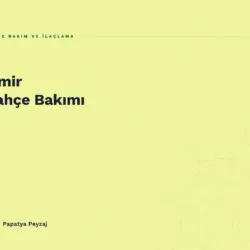 İzmir Bahçe Bakımı