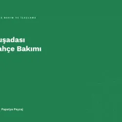 Kuşadası Bahçe Bakımı