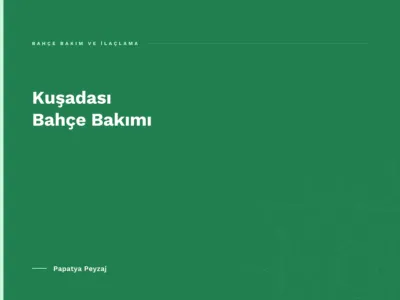 Kuşadası Bahçe Bakımı