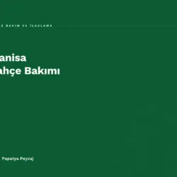 Manisa Bahçe Bakımı