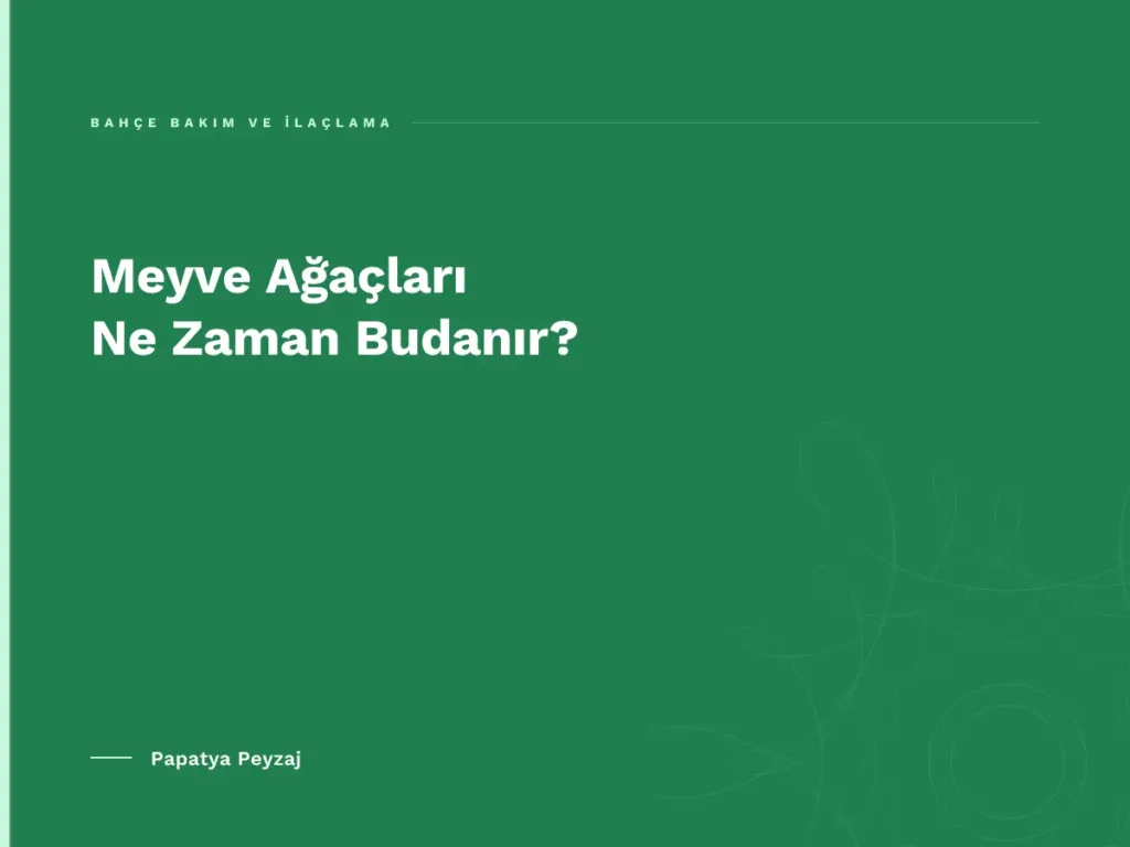 Meyve Ağaçları Ne Zaman Budanır?
