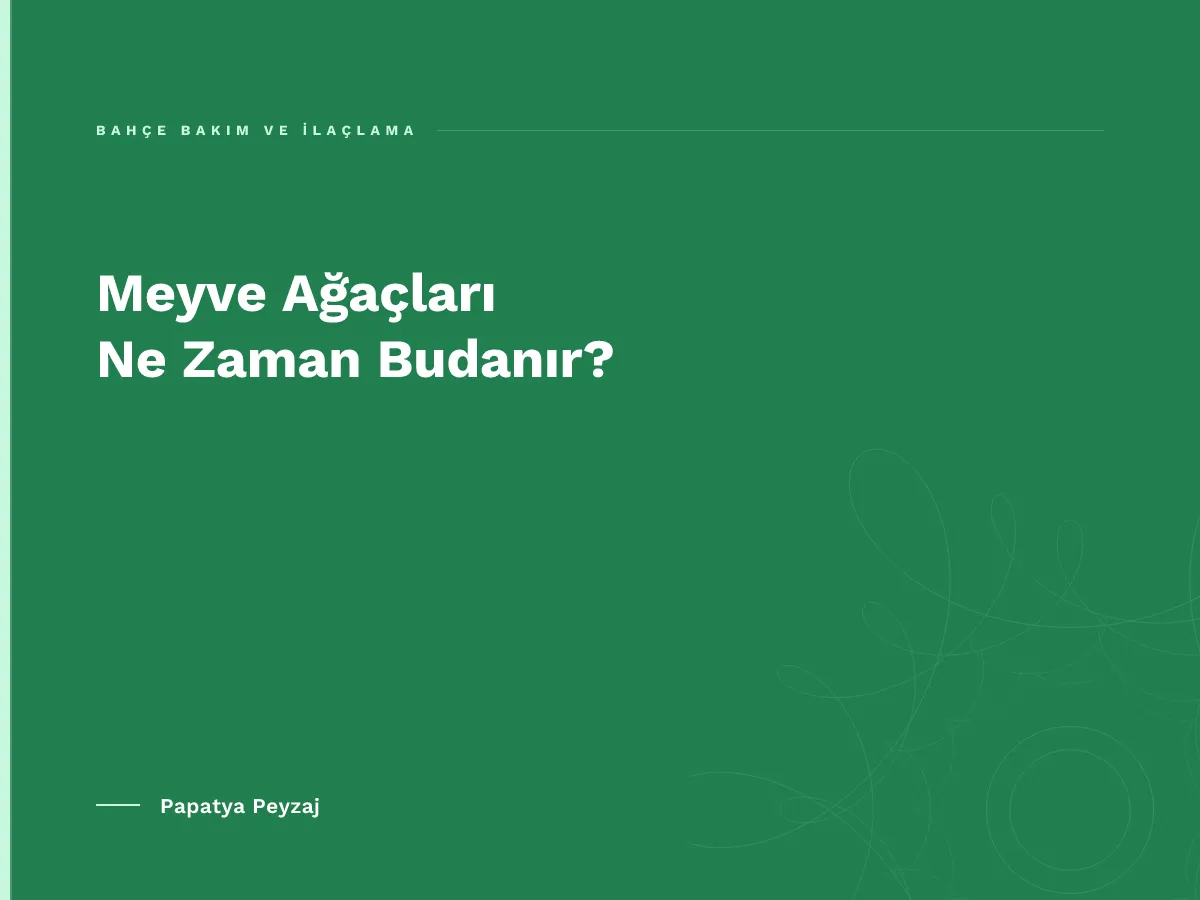Meyve Ağaçları Ne Zaman Budanır?