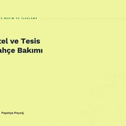 Otel ve Tesis Bahçe Bakımı