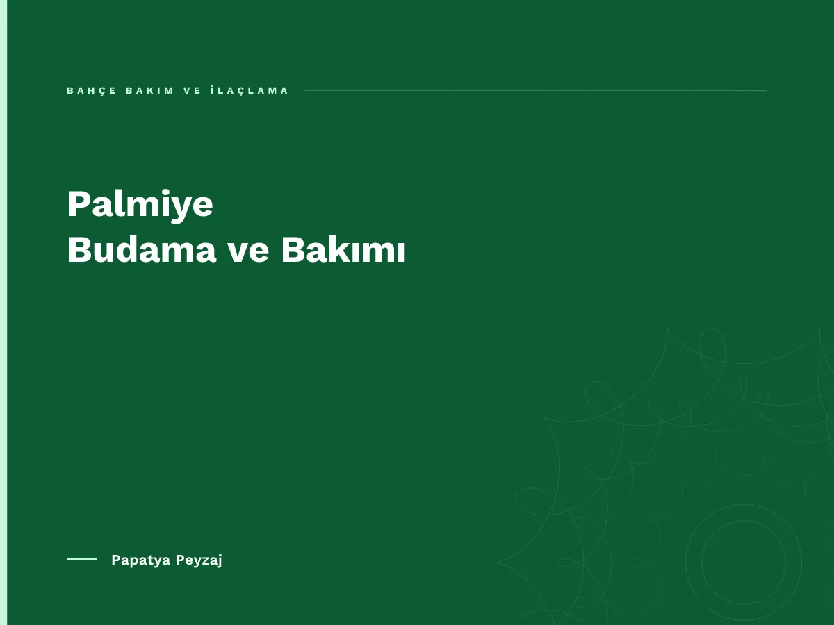 Palmiye Budama ve Bakımı