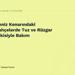 Deniz Kenarındaki Bahçelerde Tuz ve Rüzgar Etkisiyle Bakım