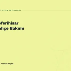 Seferihisar Bahçe Bakımı