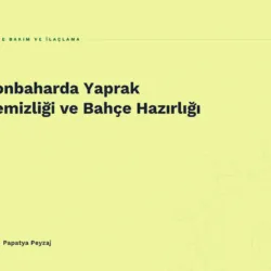 Sonbaharda Yaprak Temizliği ve Bahçe Hazırlığı