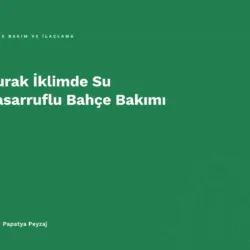 Kurak İklimde Su Tasarruflu Bahçe Bakımı