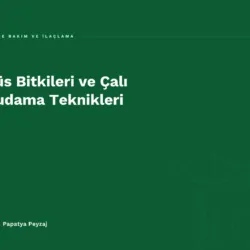 Süs Bitkileri ve Çalı Budama Teknikleri
