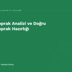 Toprak Analizi ve Doğru Toprak Hazırlığı