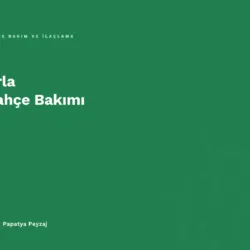 Urla Bahçe Bakımı