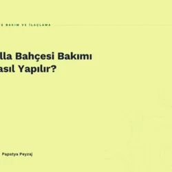 Villa Bahçesi Bakımı Nasıl Yapılır?