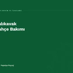 Yalıkavak Bahçe Bakımı