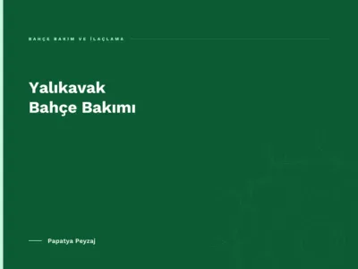 Yalıkavak Bahçe Bakımı